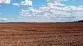 lavoro agricolo