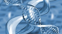 Rappresentazione Dna