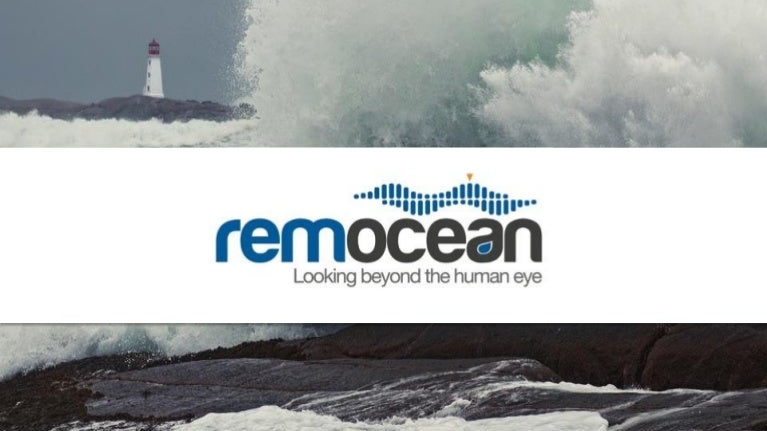 Logo Remocean