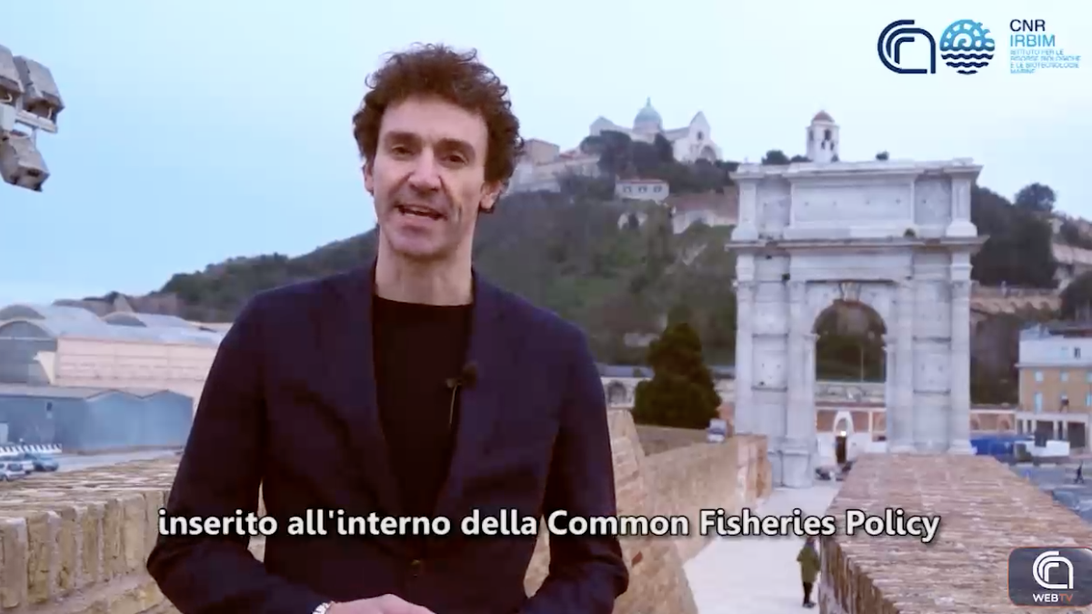 Direttore  del Cnr-Irbim