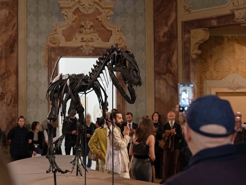 Scienza e arte 